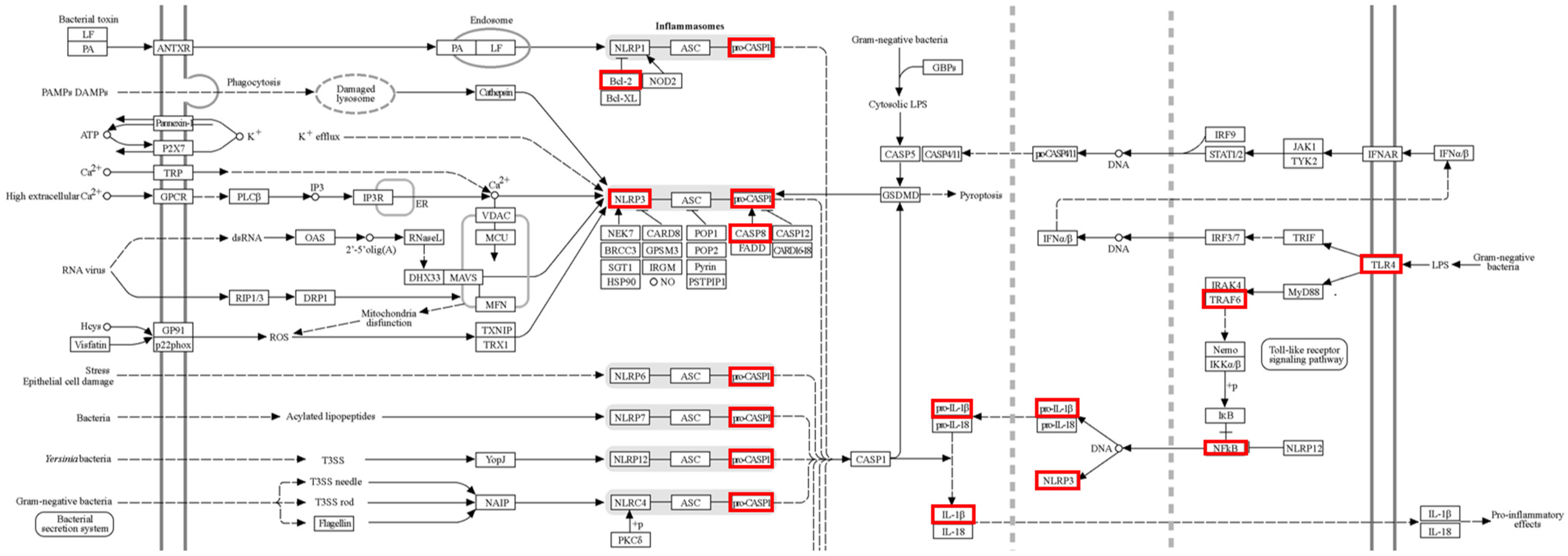 Pharmaceuticals 18 00029 g005