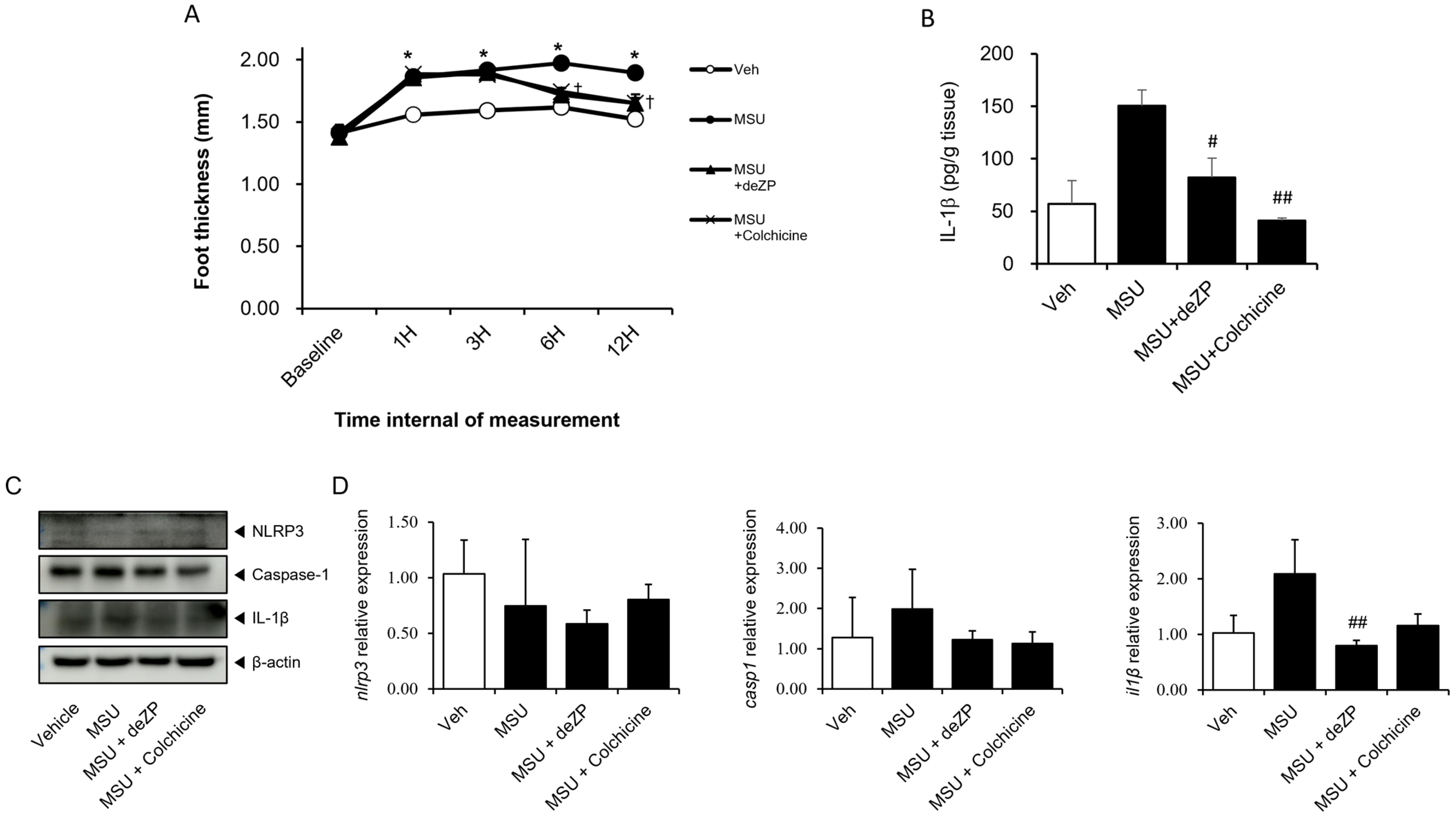 Pharmaceuticals 18 00029 g006