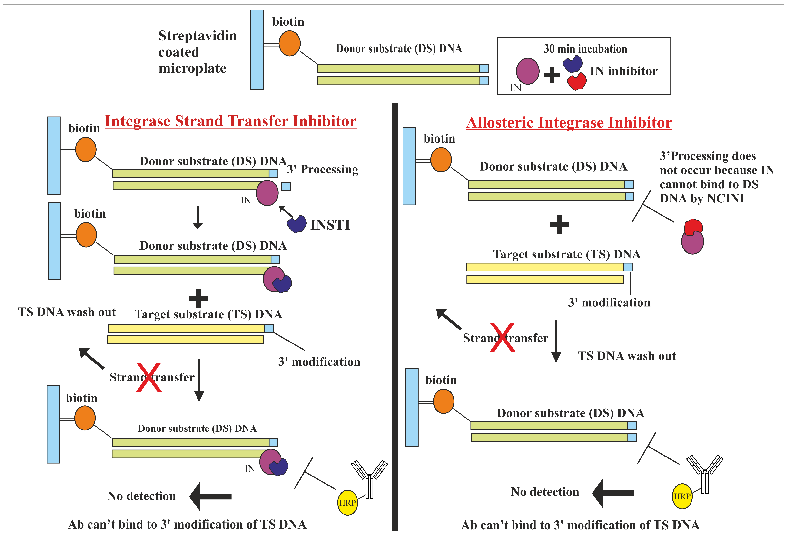 Pharmaceuticals 18 00030 g004