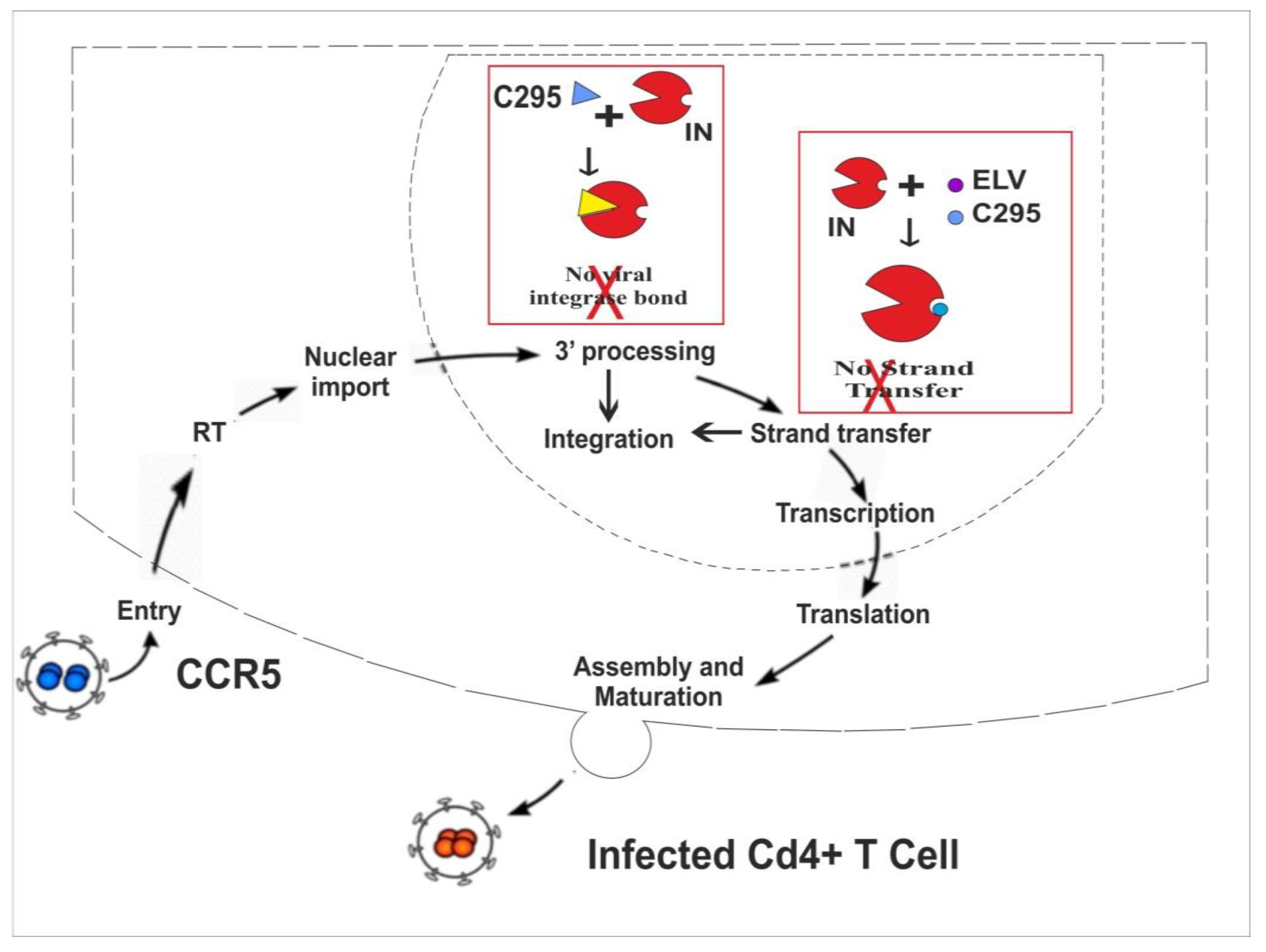 Pharmaceuticals 18 00030 g005