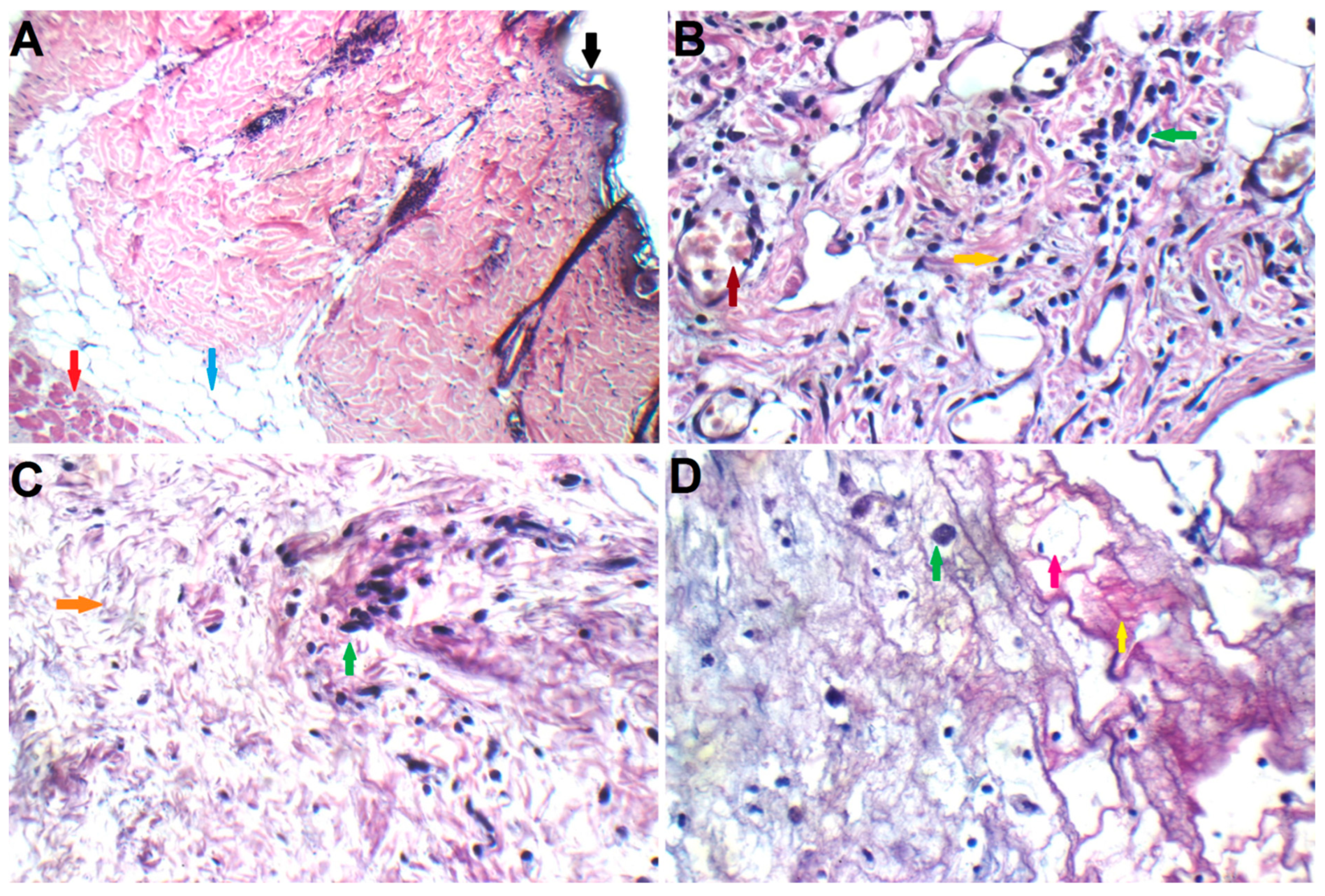 Pharmaceuticals 18 00031 g007