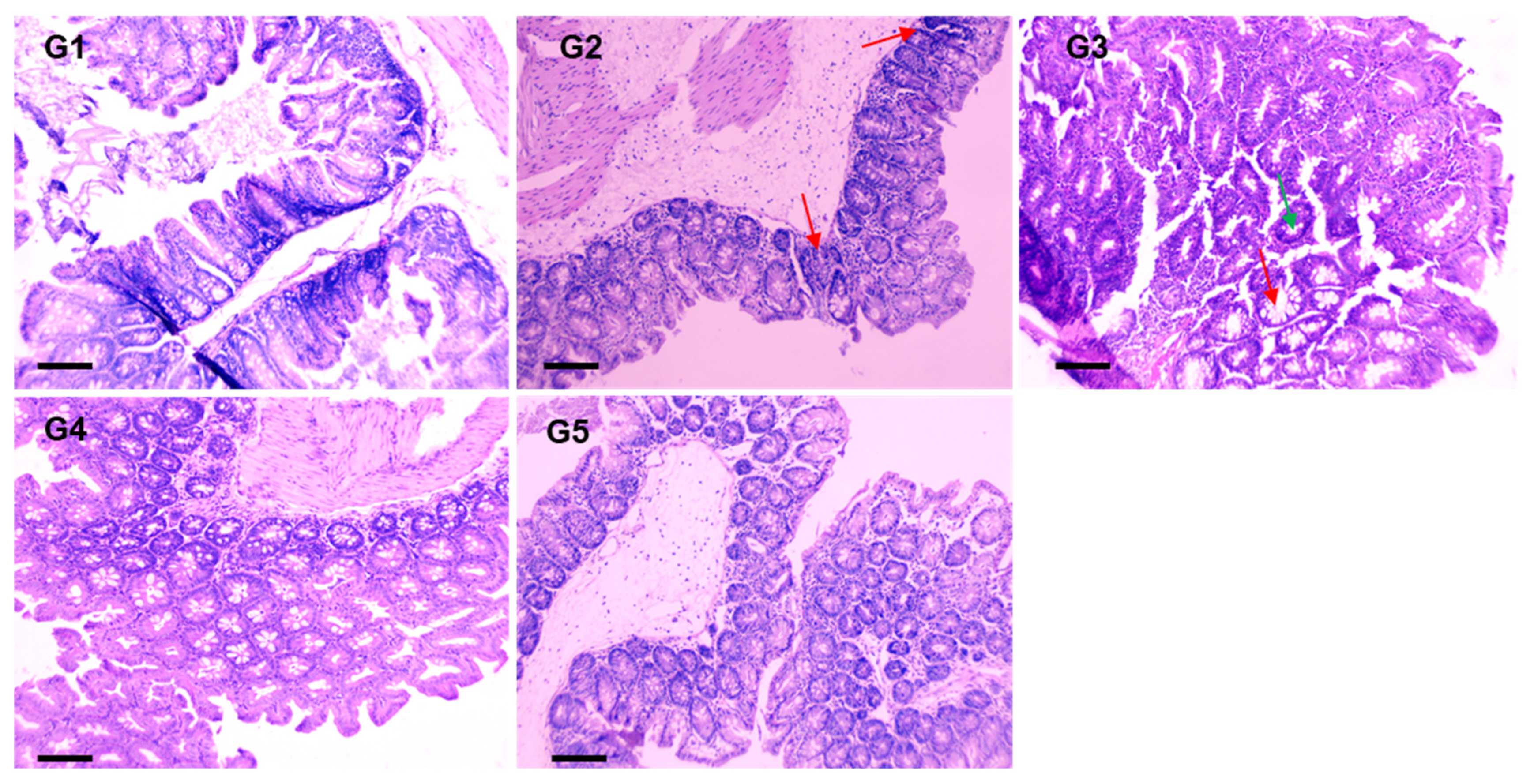 Pharmaceuticals 18 00034 g008
