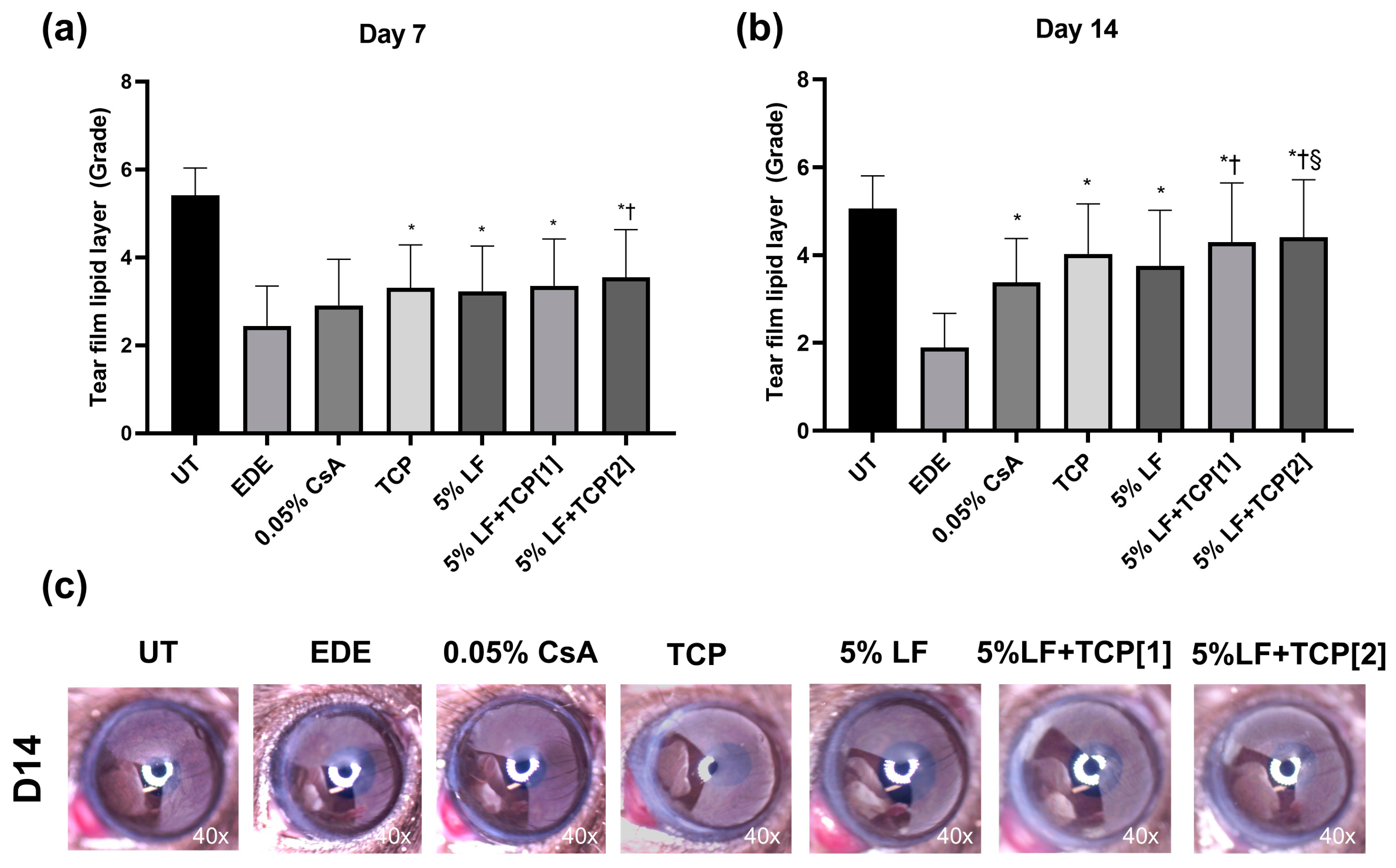 Pharmaceuticals 18 00038 g001