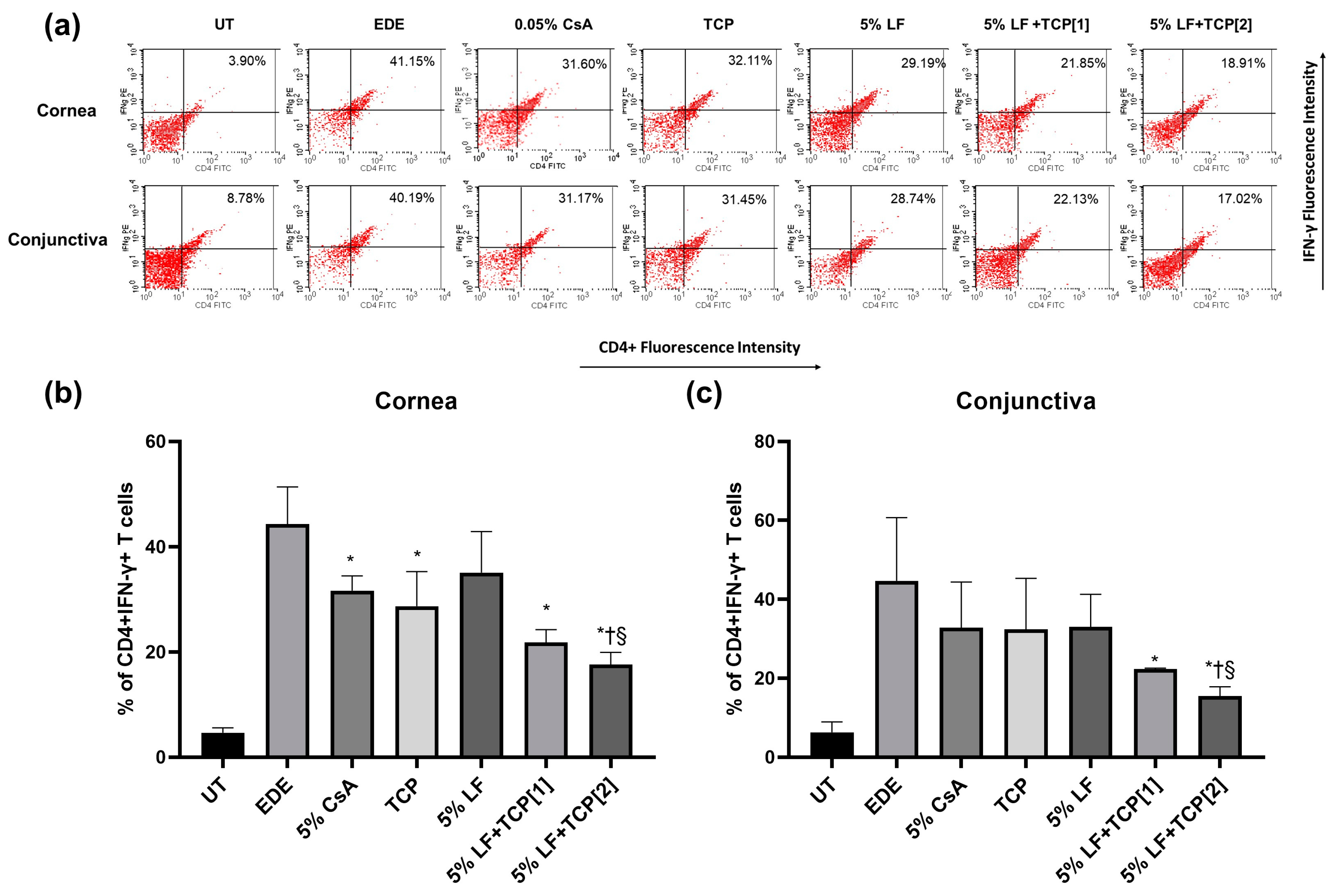 Pharmaceuticals 18 00038 g002