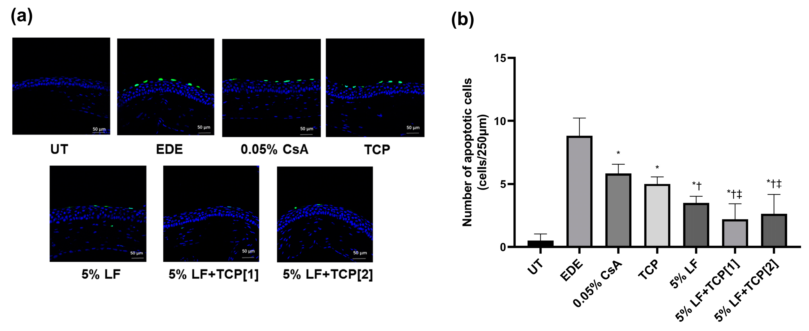 Pharmaceuticals 18 00038 g004
