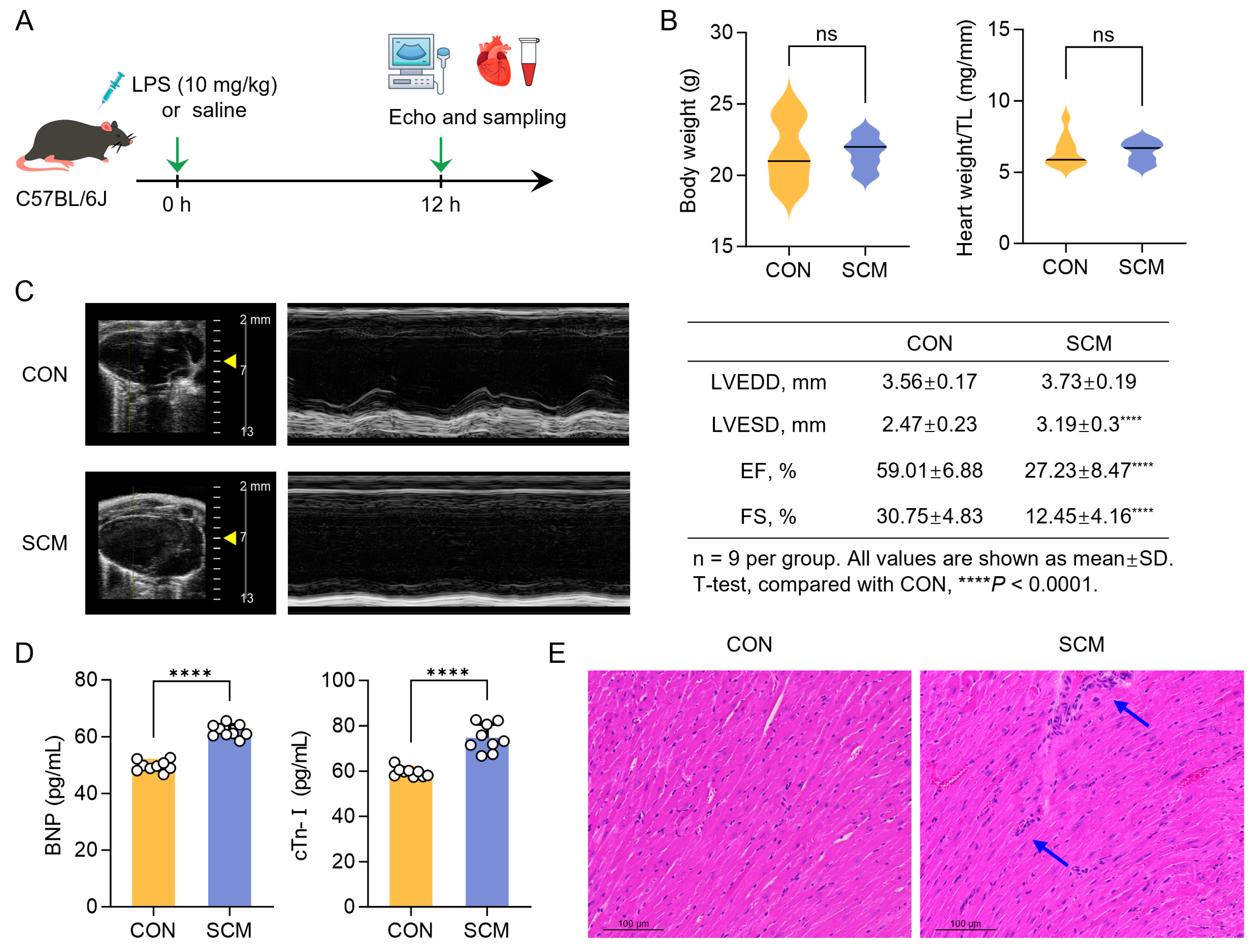 Pharmaceuticals 18 00043 g002