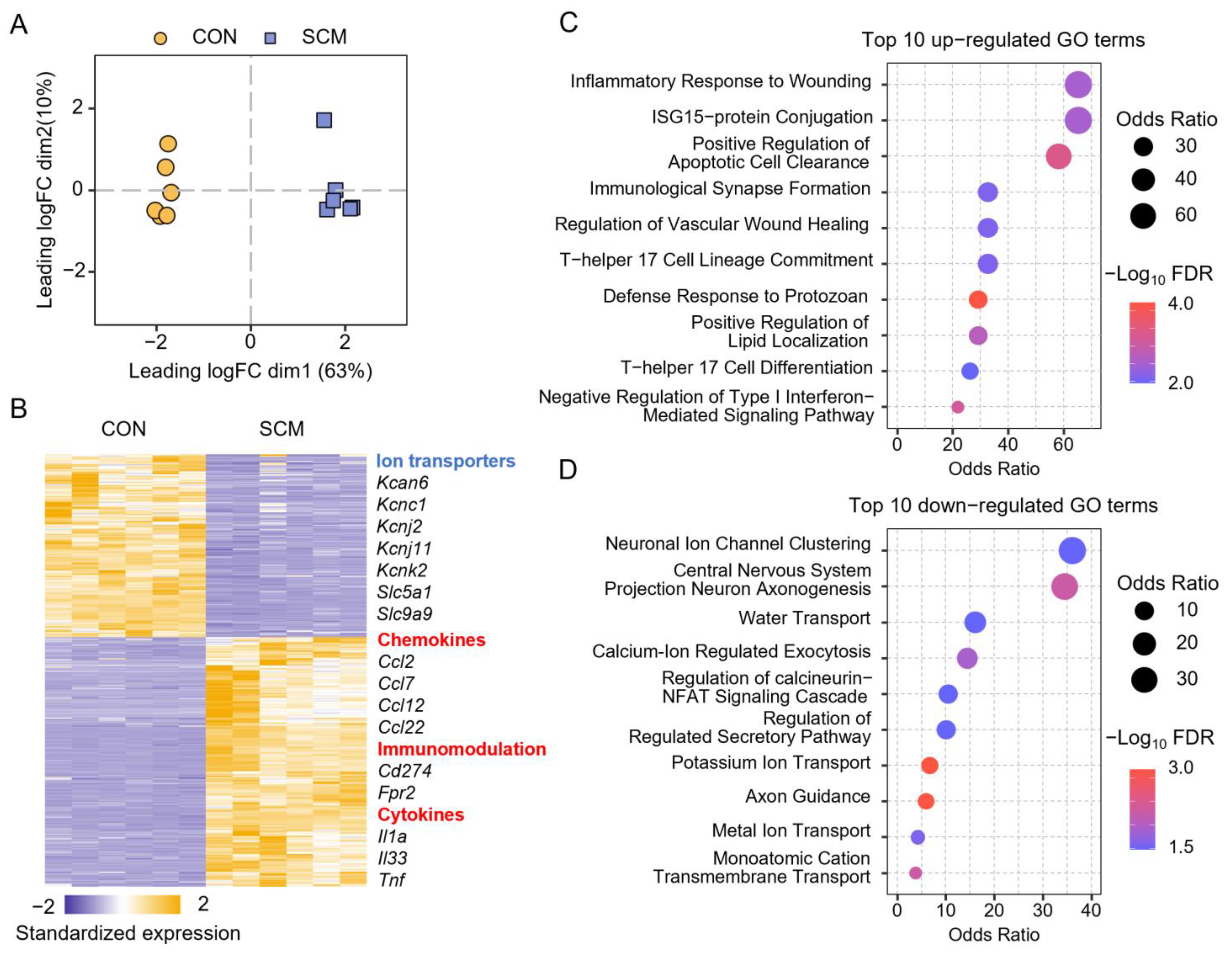 Pharmaceuticals 18 00043 g004