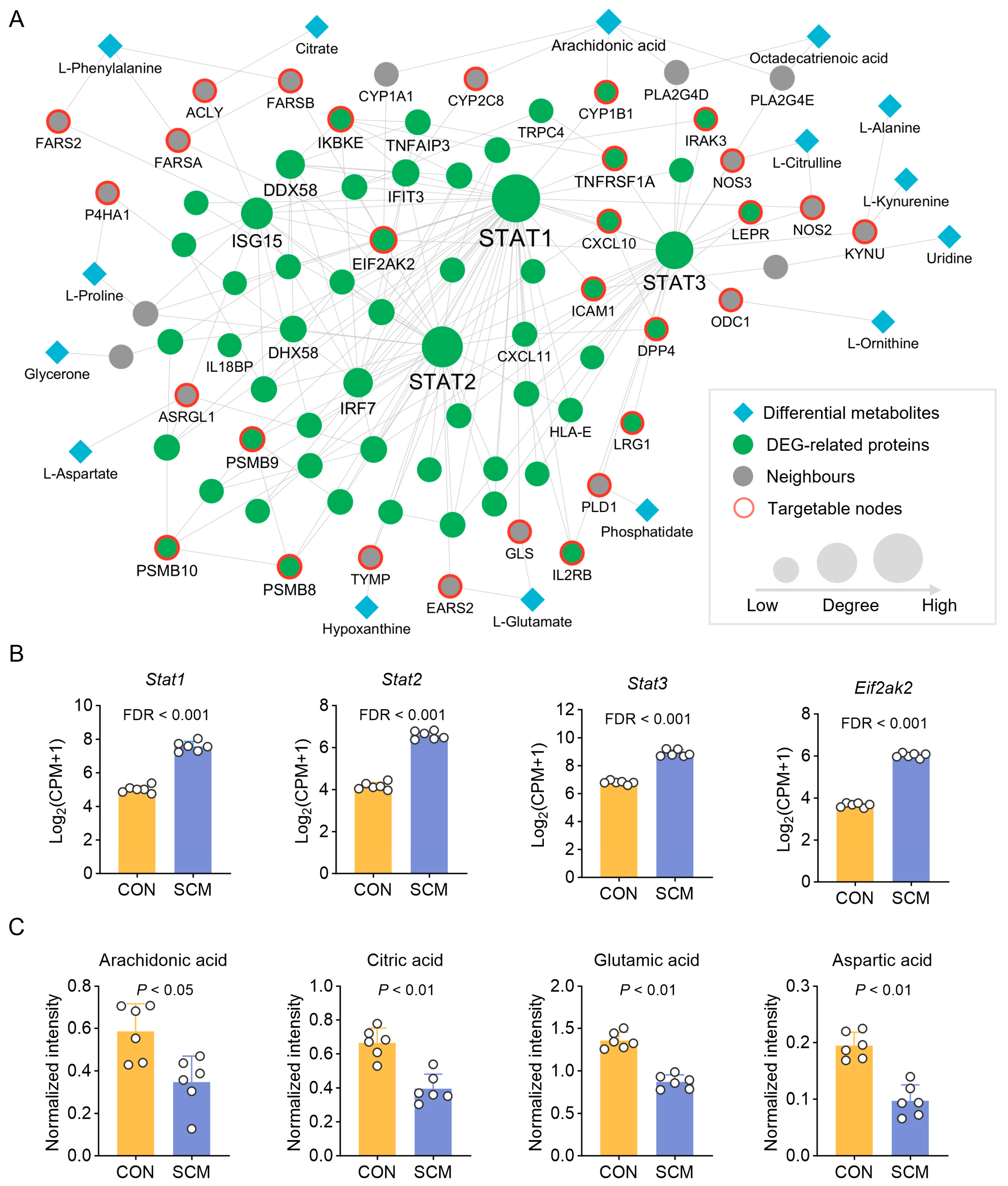 Pharmaceuticals 18 00043 g005