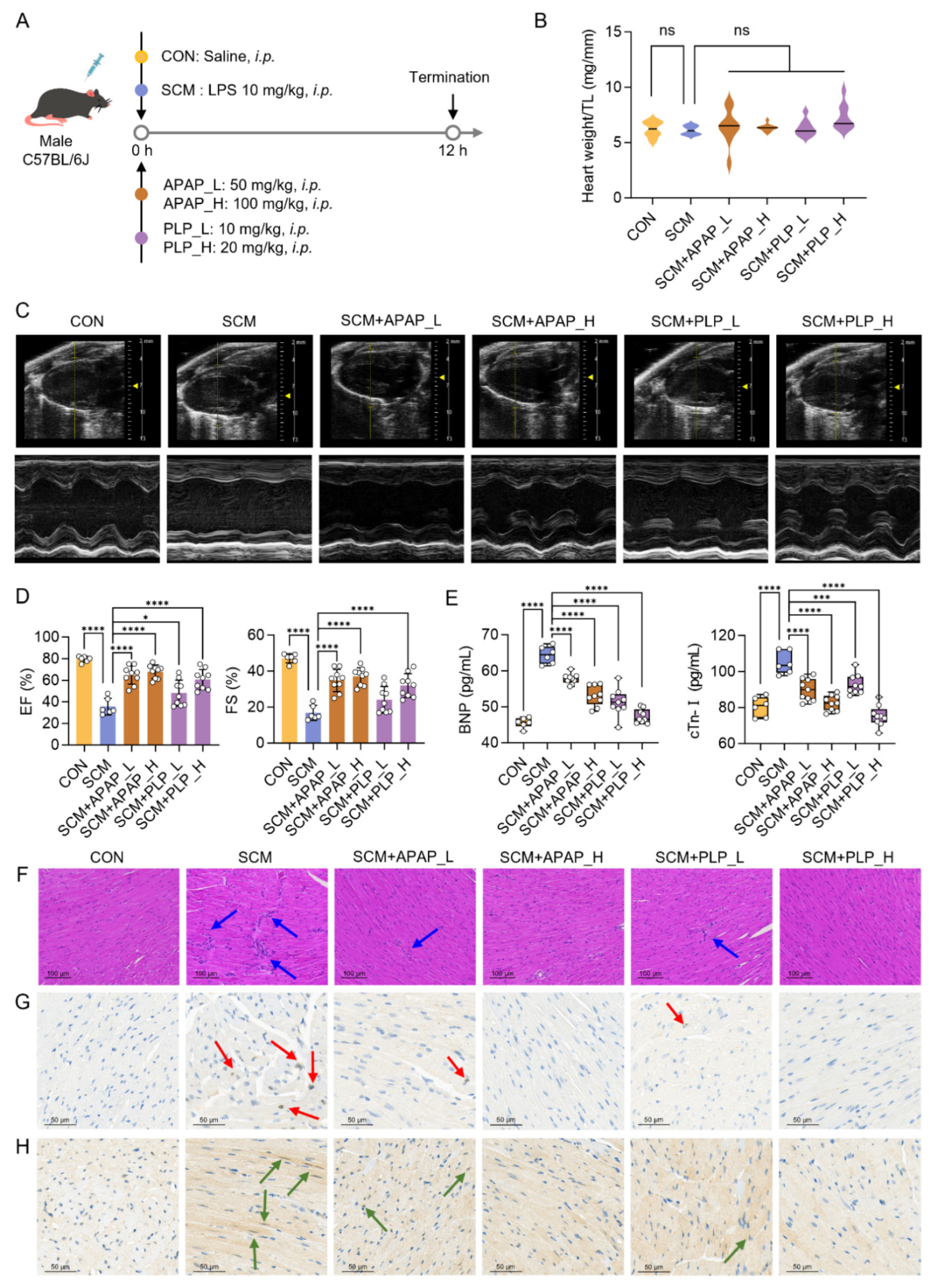 Pharmaceuticals 18 00043 g007