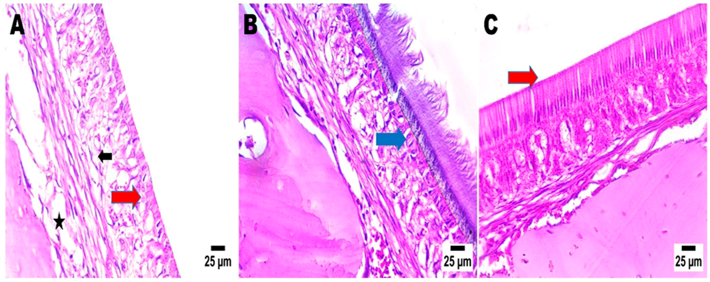 Pharmaceuticals 18 00046 g005