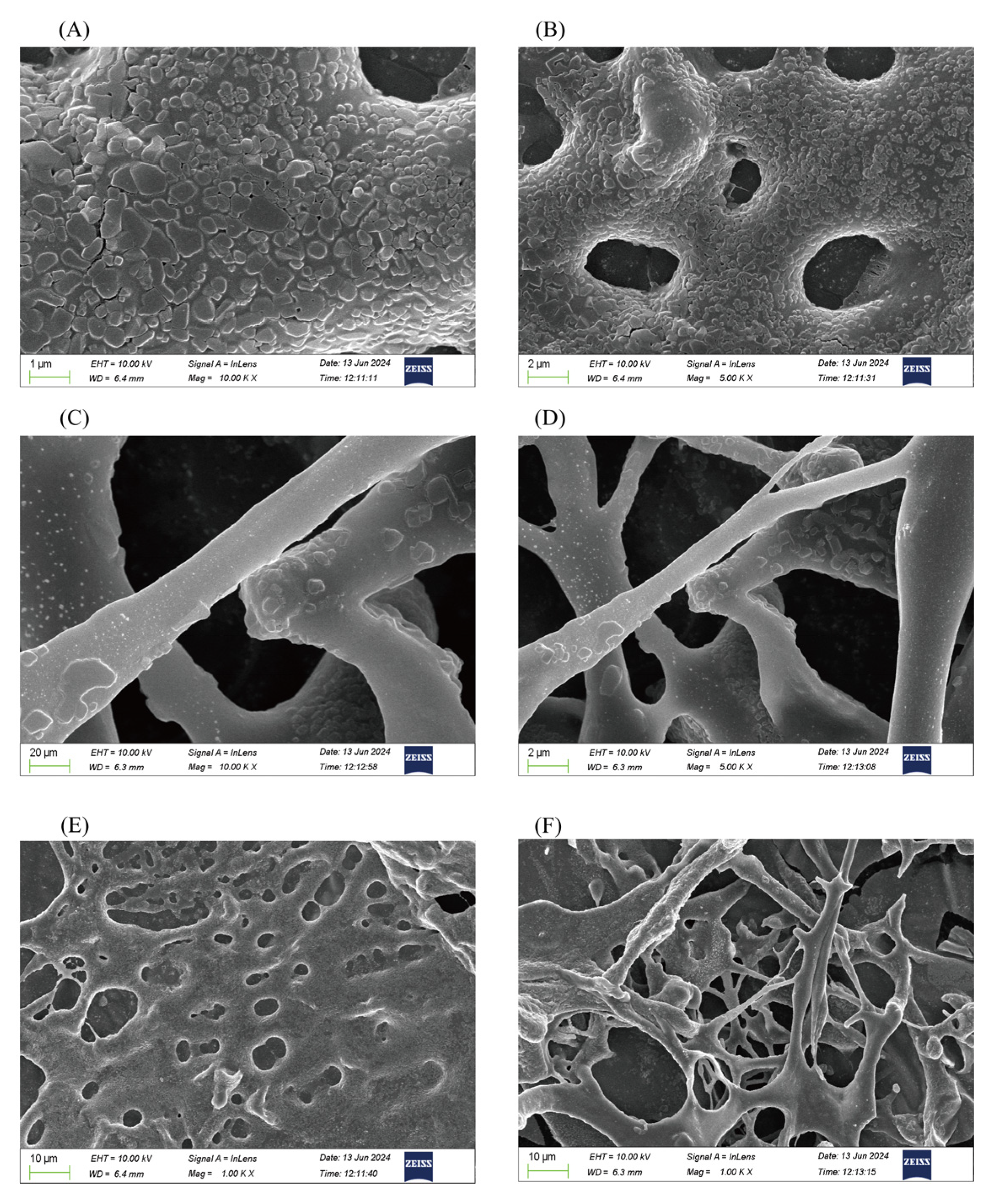 Pharmaceuticals 18 00051 g004