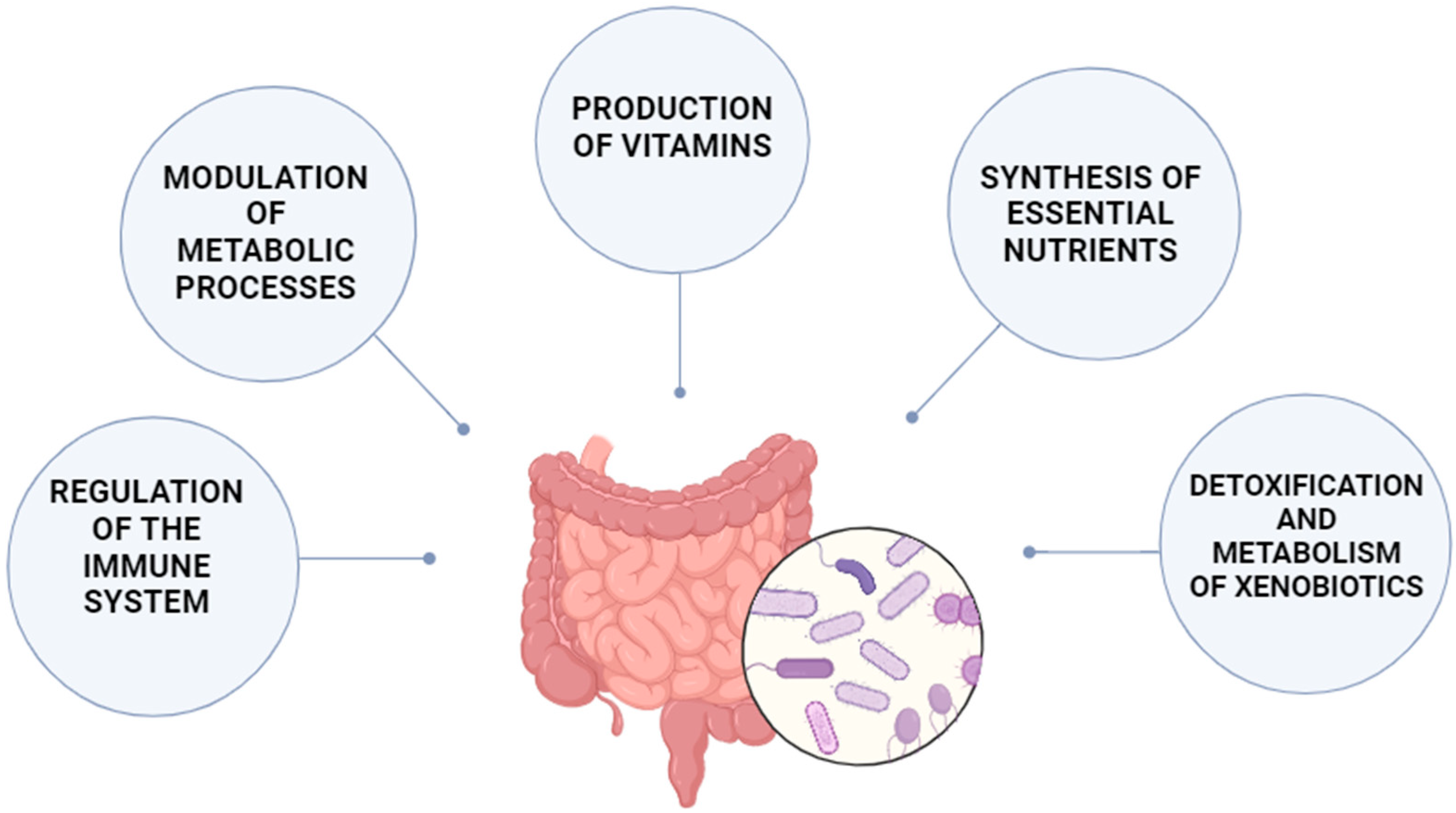 Pharmaceuticals 18 00055 g001