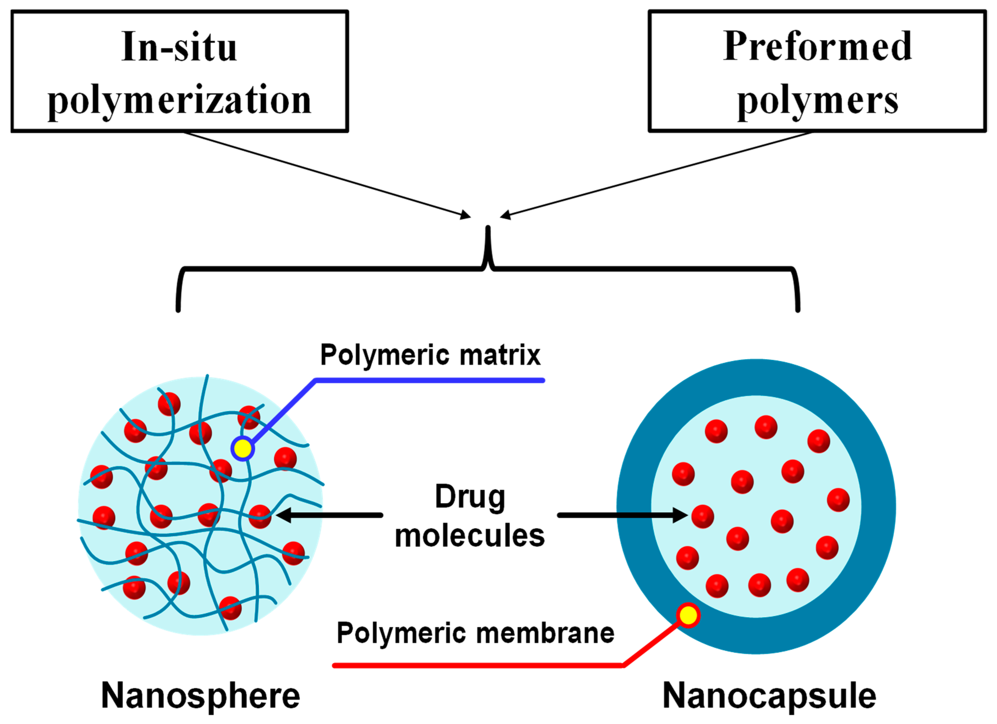 Pharmaceuticals 18 00056 g007