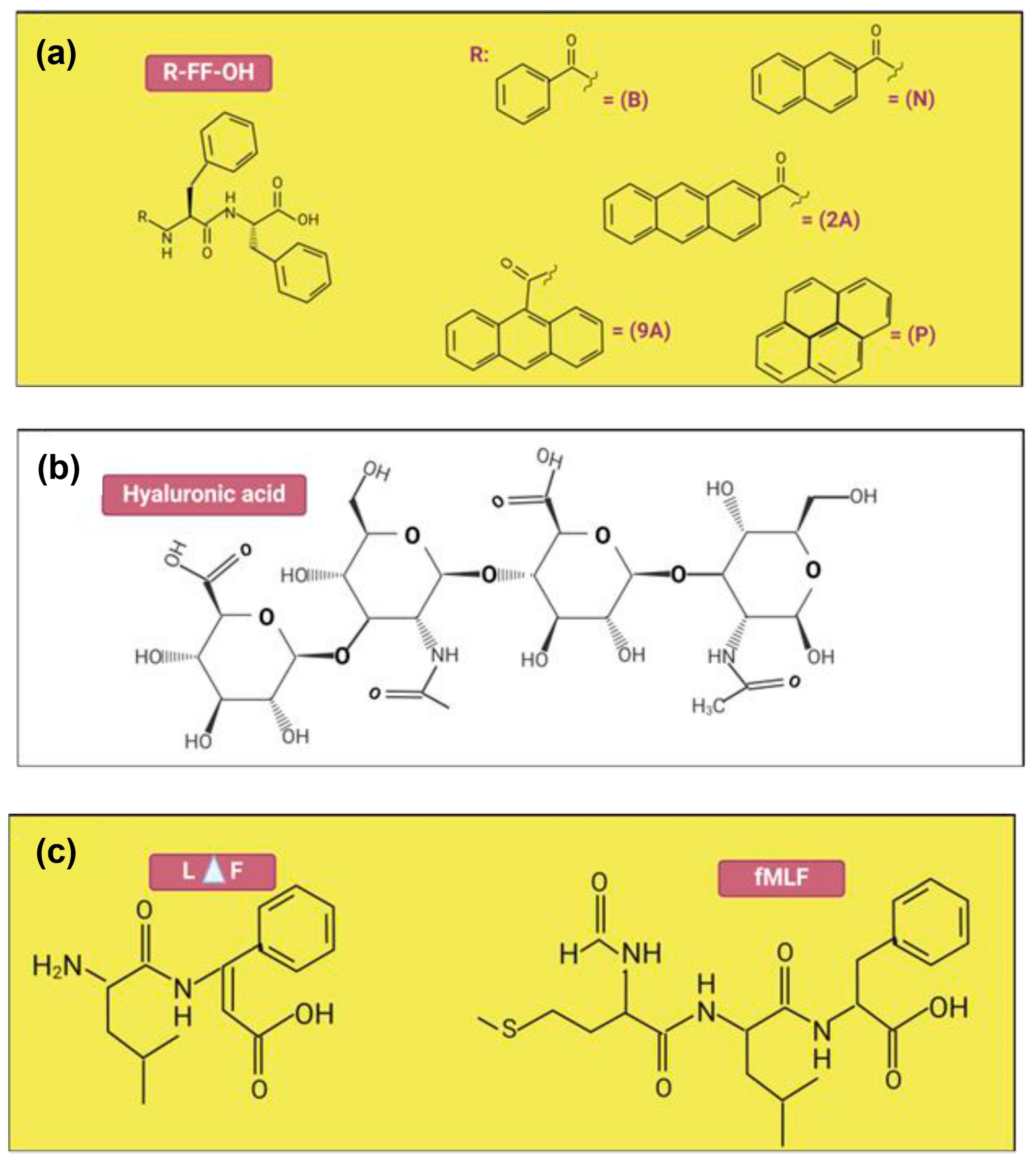 Pharmaceuticals 18 00058 g004