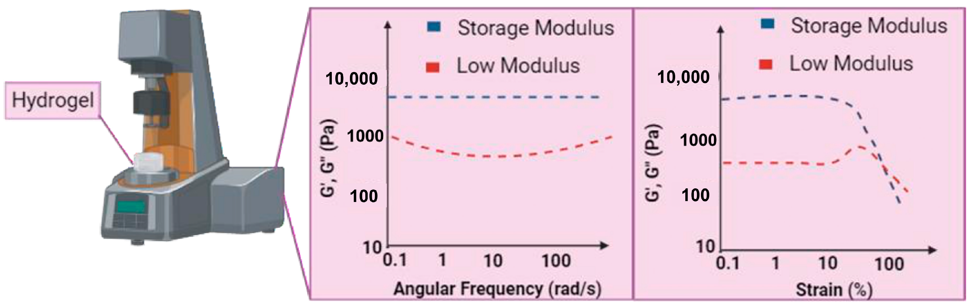 Pharmaceuticals 18 00058 g005