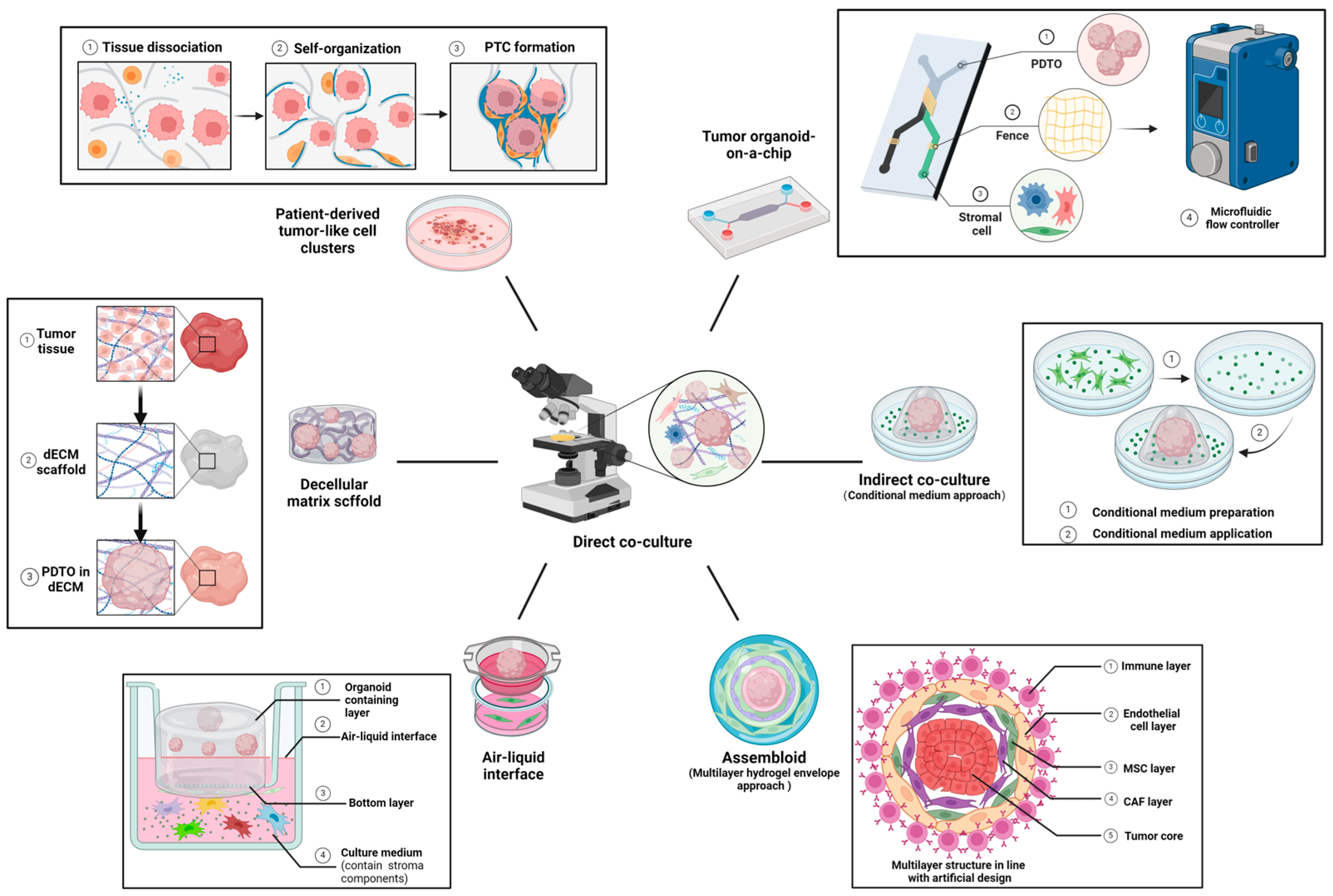 Pharmaceuticals 18 00062 g003