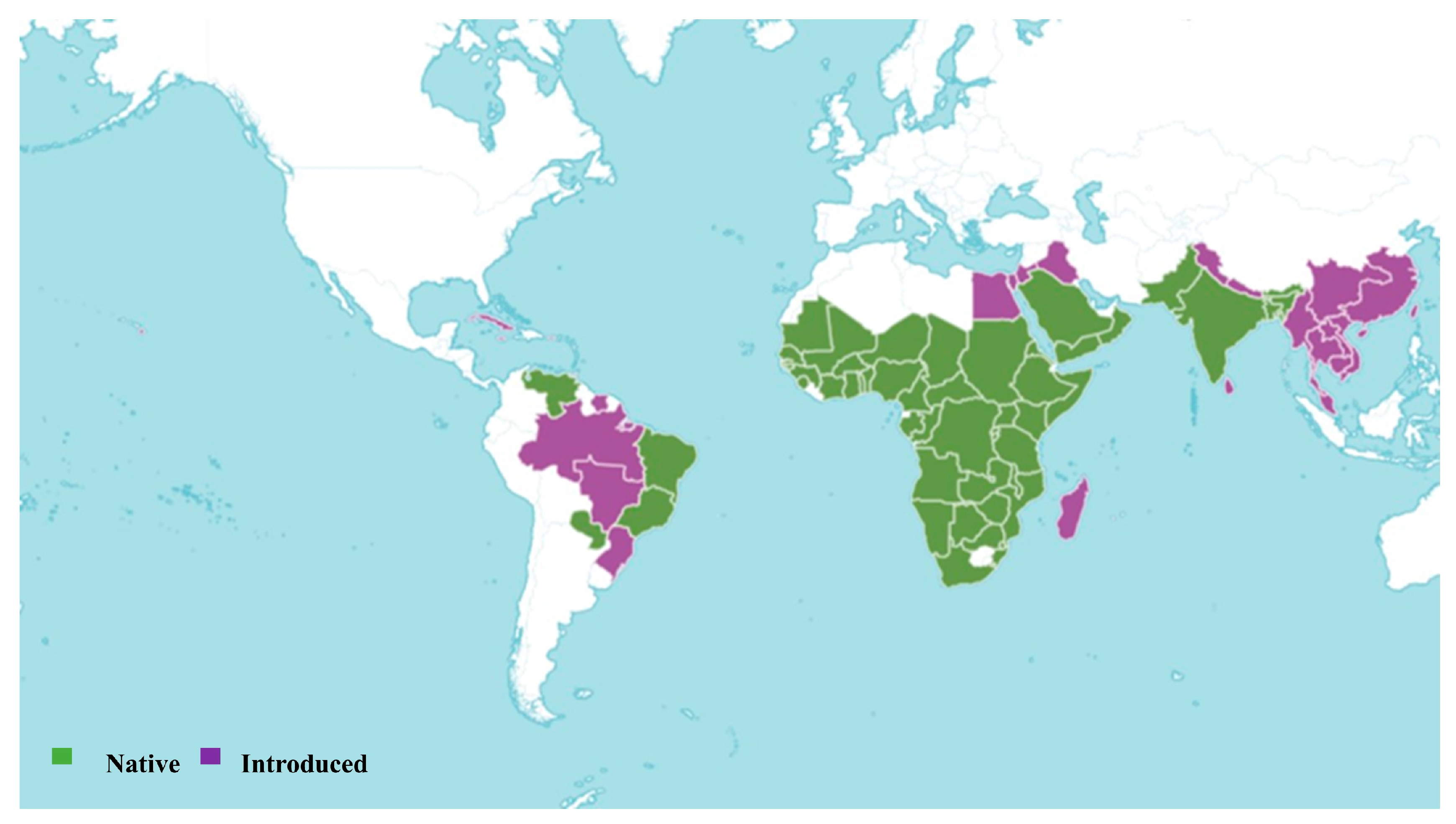 Pharmaceuticals 18 00064 g001