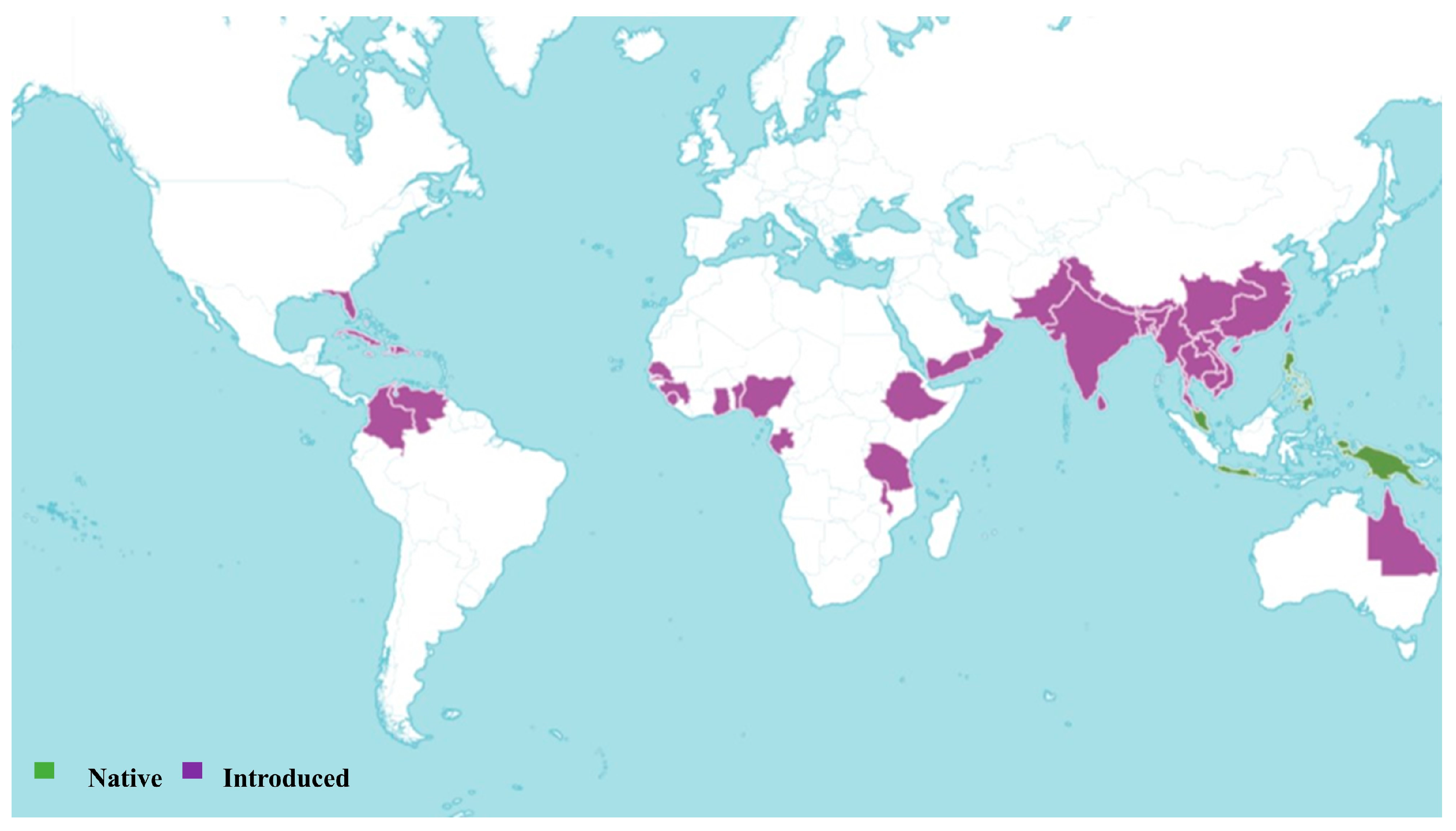 Pharmaceuticals 18 00064 g002