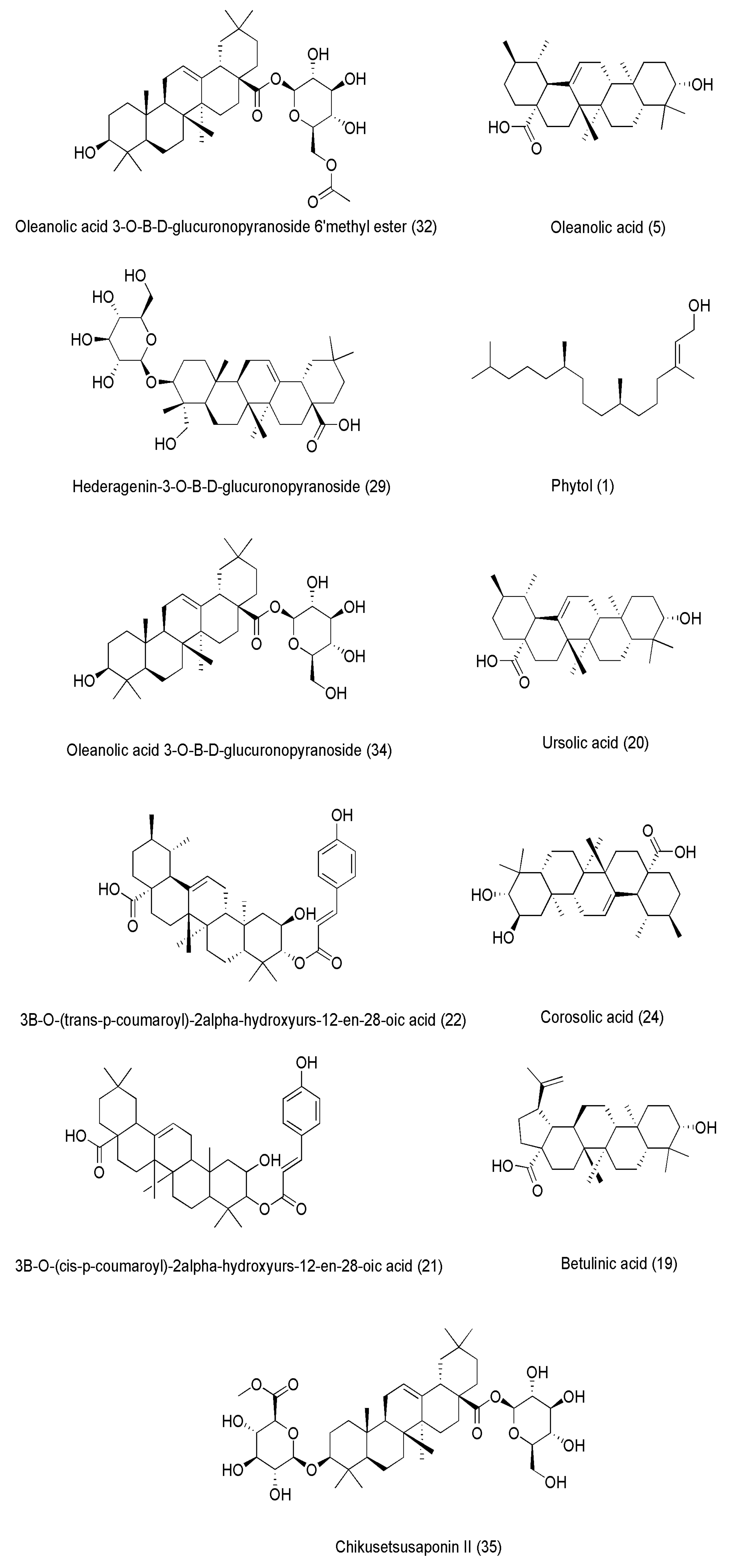 Pharmaceuticals 18 00064 g007
