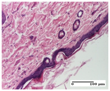 Pharmaceuticals 18 00065 i002 Pharmaceuticals 18 00065 i002