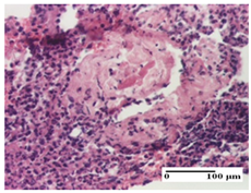 Pharmaceuticals 18 00065 i004 Pharmaceuticals 18 00065 i004