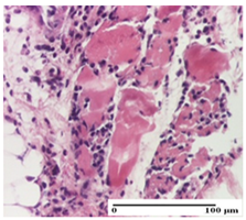 Pharmaceuticals 18 00065 i007 Pharmaceuticals 18 00065 i007