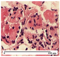 Pharmaceuticals 18 00065 i008 Pharmaceuticals 18 00065 i008