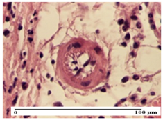 Pharmaceuticals 18 00065 i011 Pharmaceuticals 18 00065 i011