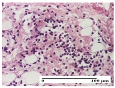 Pharmaceuticals 18 00065 i013 Pharmaceuticals 18 00065 i013