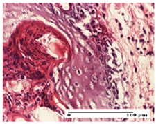 Pharmaceuticals 18 00065 i017 Pharmaceuticals 18 00065 i017