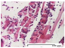 Pharmaceuticals 18 00065 i019 Pharmaceuticals 18 00065 i019