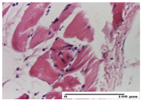 Pharmaceuticals 18 00065 i021 Pharmaceuticals 18 00065 i021