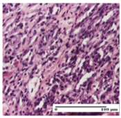 Pharmaceuticals 18 00065 i026 Pharmaceuticals 18 00065 i026