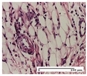 Pharmaceuticals 18 00065 i028 Pharmaceuticals 18 00065 i028