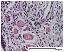 Pharmaceuticals 18 00065 i032 Pharmaceuticals 18 00065 i032