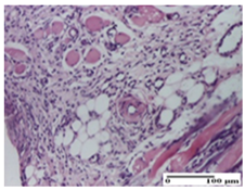 Pharmaceuticals 18 00065 i034 Pharmaceuticals 18 00065 i034