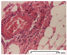 Pharmaceuticals 18 00065 i036 Pharmaceuticals 18 00065 i036