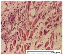 Pharmaceuticals 18 00065 i041 Pharmaceuticals 18 00065 i041