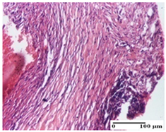 Pharmaceuticals 18 00065 i042 Pharmaceuticals 18 00065 i042