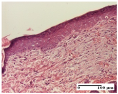 Pharmaceuticals 18 00065 i046 Pharmaceuticals 18 00065 i046