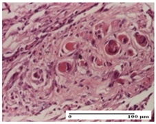 Pharmaceuticals 18 00065 i047 Pharmaceuticals 18 00065 i047