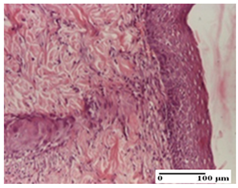 Pharmaceuticals 18 00065 i048 Pharmaceuticals 18 00065 i048