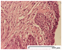 Pharmaceuticals 18 00065 i053 Pharmaceuticals 18 00065 i053