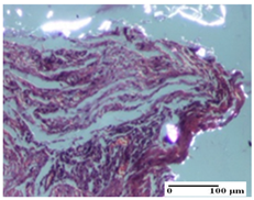 Pharmaceuticals 18 00065 i059 Pharmaceuticals 18 00065 i059