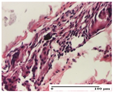 Pharmaceuticals 18 00065 i062 Pharmaceuticals 18 00065 i062