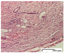 Pharmaceuticals 18 00065 i067 Pharmaceuticals 18 00065 i067