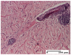 Pharmaceuticals 18 00065 i068 Pharmaceuticals 18 00065 i068