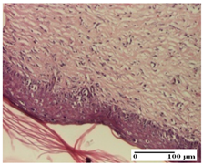 Pharmaceuticals 18 00065 i069 Pharmaceuticals 18 00065 i069