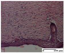 Pharmaceuticals 18 00065 i071 Pharmaceuticals 18 00065 i071