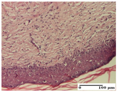 Pharmaceuticals 18 00065 i072 Pharmaceuticals 18 00065 i072